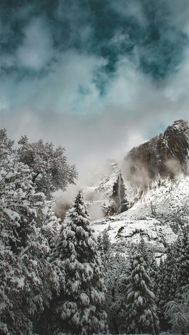 1290x2796 mountain and forest covered with snows - forest iPhone Wallpaper