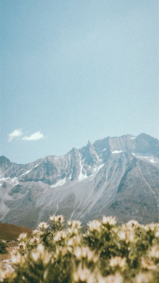 1290x2796 green grass field near snow covered mountain under... - blue sky iPhone Wallpaper
