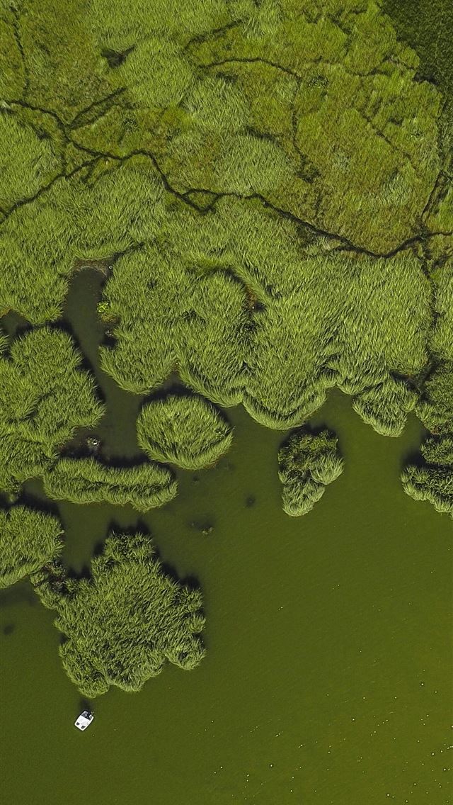 1290x2796 green island -  iPhone Wallpaper