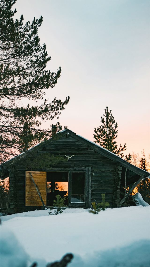 1290x2796 silhouette photography of house near pine tree cov... - forest iPhone Wallpaper