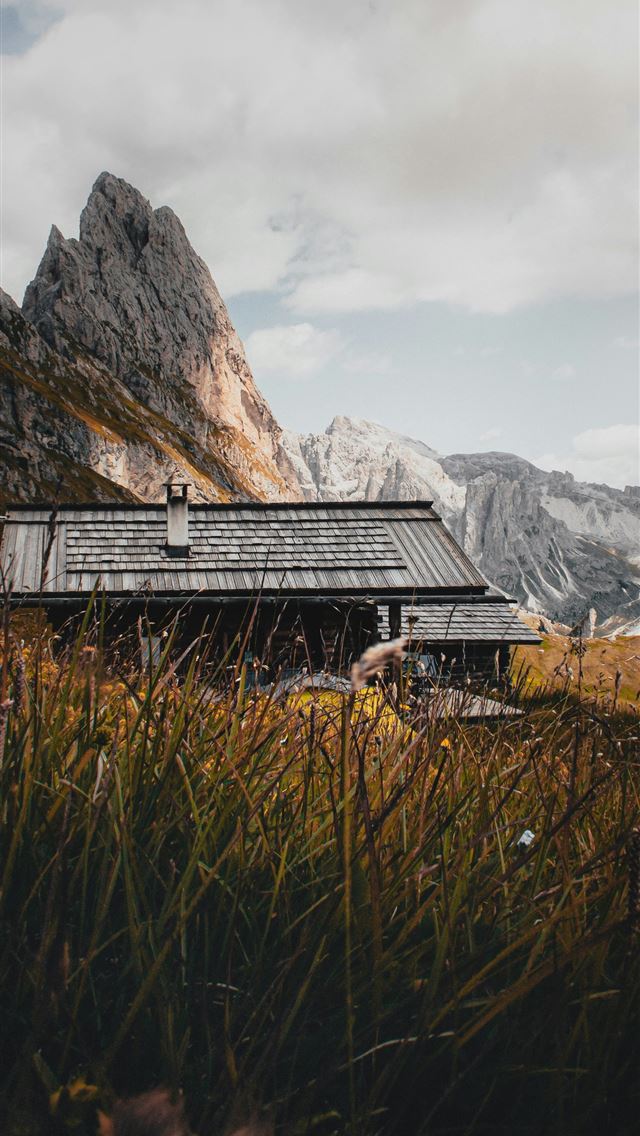 1290x2796 white and black train on rail near mountain during... -  iPhone Wallpaper