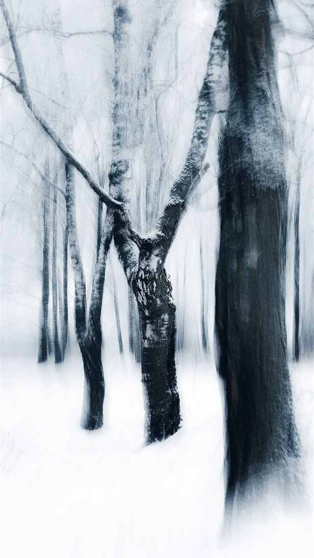 1290x2796 a black and white photo of trees in the snow -  iPhone Wallpaper