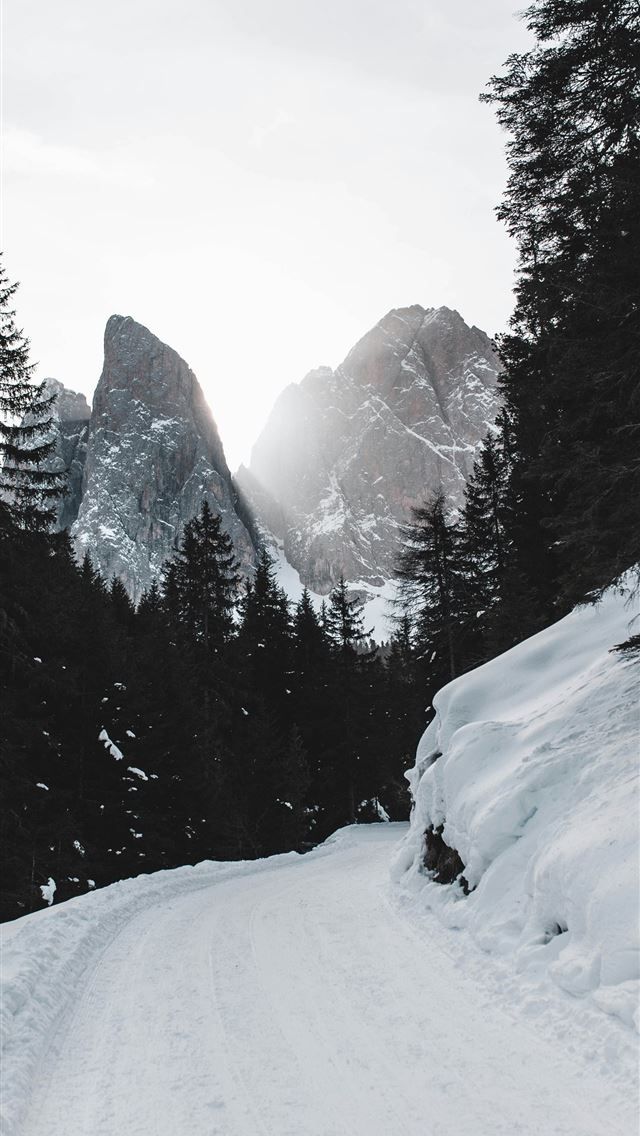 1290x2796 snow covered road between green trees overlooking ... - grey iPhone Wallpaper