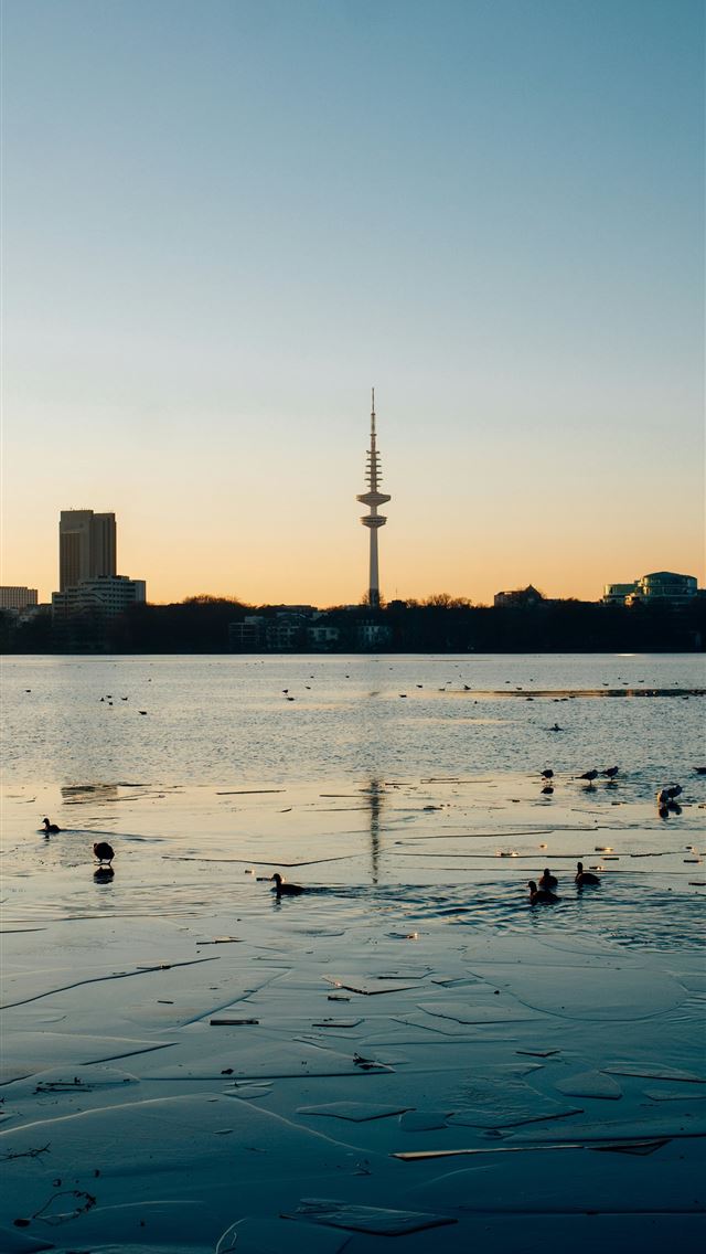 1290x2796 Ducks swim on a frozen lake with city skyline  - winter iPhone Wallpaper