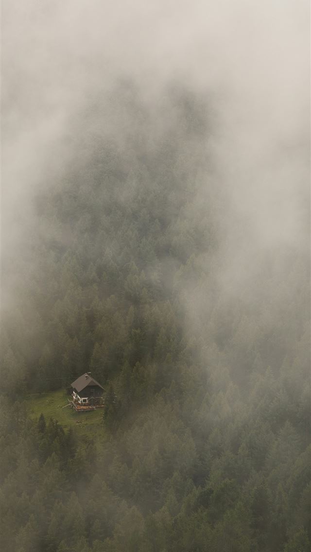 1290x2796 a house in the middle of a foggy forest - hiking iPhone Wallpaper
