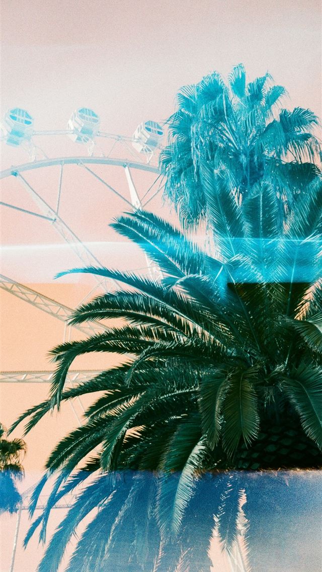 1290x2796 a palm tree and a ferris wheel in the background -  iPhone Wallpaper