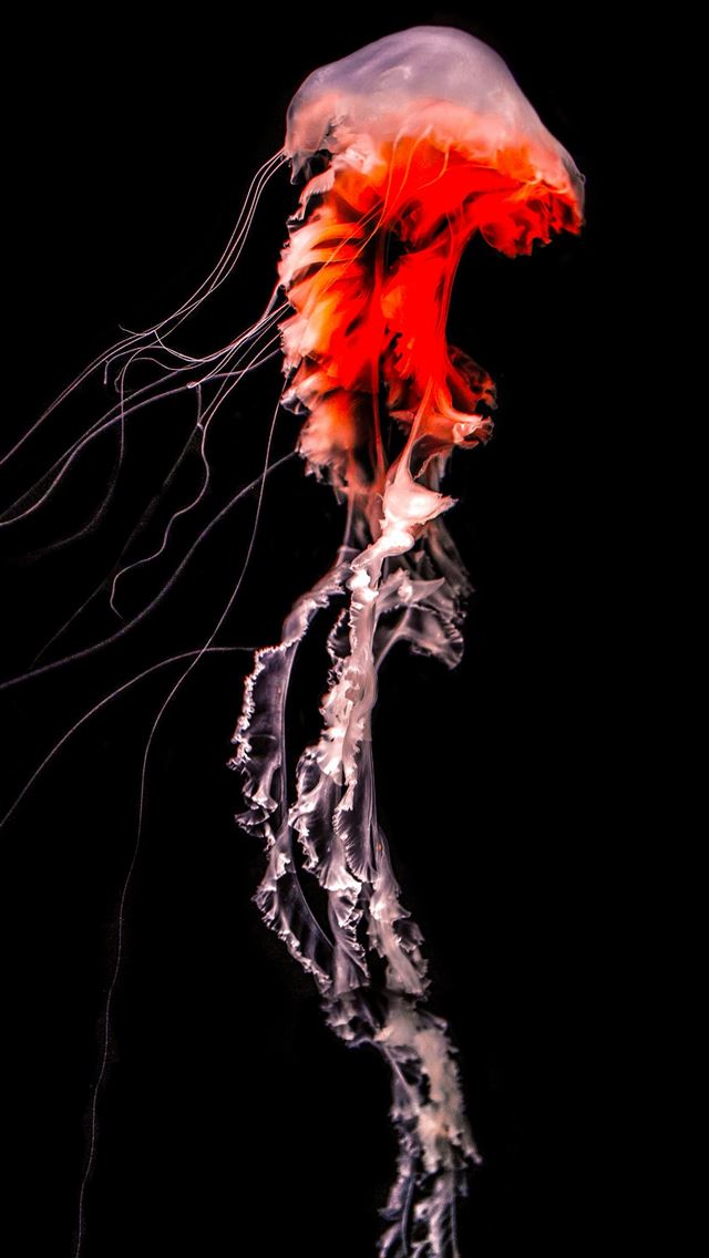 640x1136 blue smoke on white background -  iPhone Wallpaper