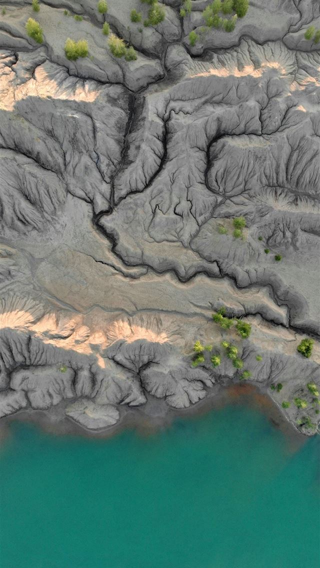 1290x2796 aerial view of gray rocky mountain beside green bo... - forest iPhone Wallpaper