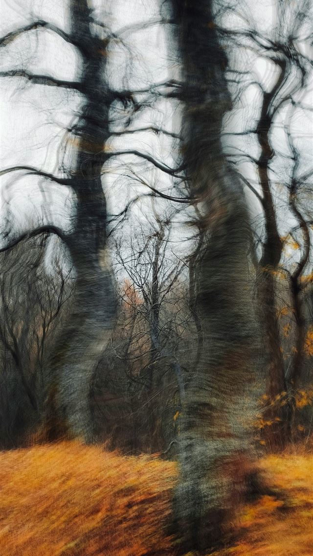 1290x2796 a blurry photo of trees in a field - abstract iPhone Wallpaper