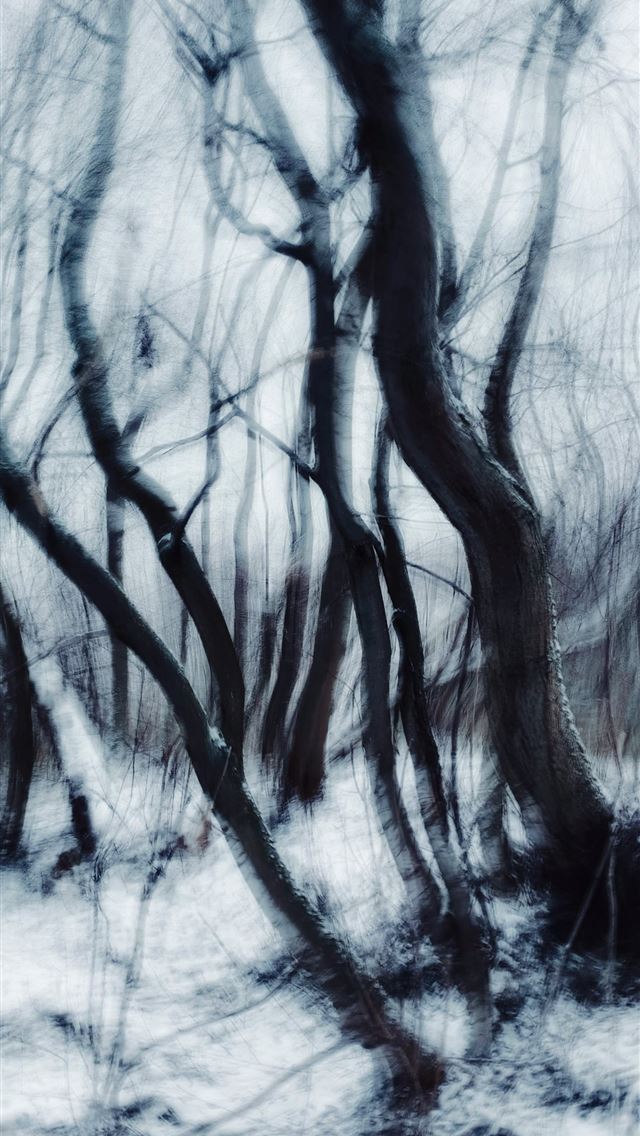 1290x2796 a black and white photo of trees in the snow - abstract iPhone Wallpaper