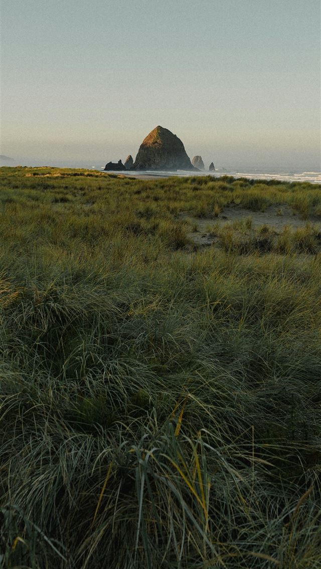 1290x2796 a grassy field with a mountain in the background - sun iPhone Wallpaper