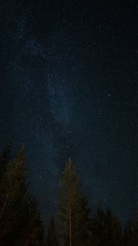 the night sky is filled with stars and trees wallpaper