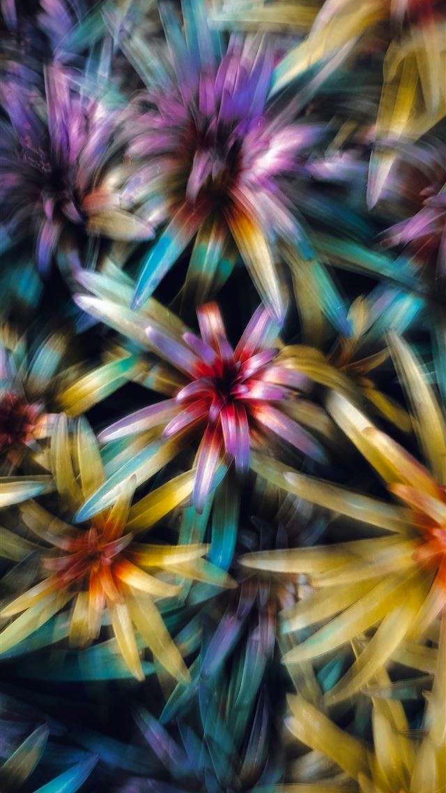 1290x2796 a close up of a bunch of flowers -  iPhone Wallpaper