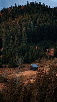 a cabin nestled in the middle of a forest wallpaper