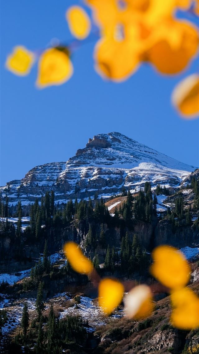 1290x2796 a snow covered mountain with trees in the foregrou... - blue iPhone Wallpaper
