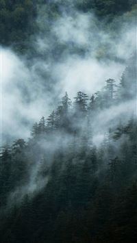 a mountain covered in fog with trees in the backgr... wallpaper