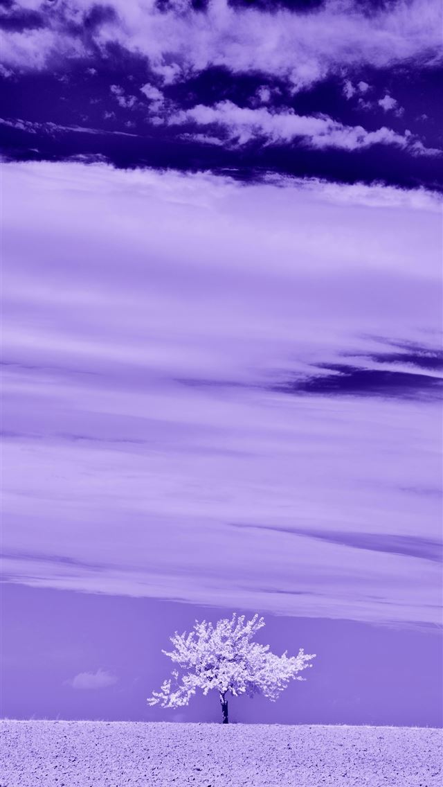 1290x2796 a lone tree in the middle of a field - blue iPhone Wallpaper