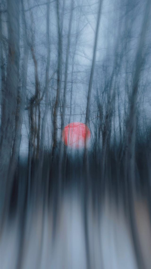 1290x2796 Red light in a blurry forest at dusk - motion blur iPhone Wallpaper