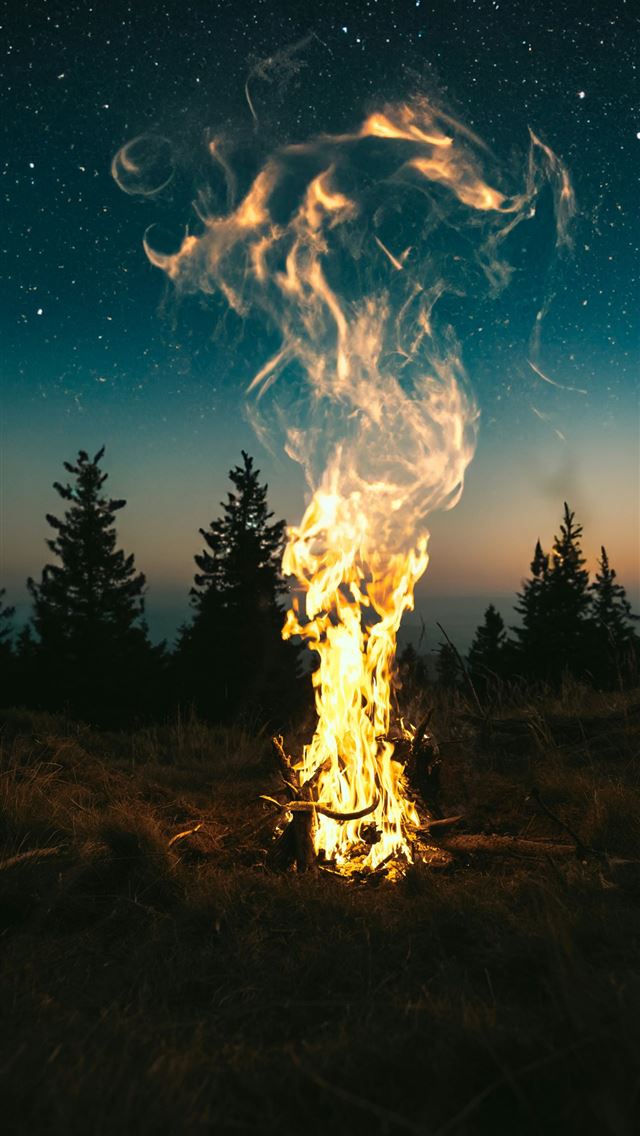 1290x2796 a fire in the middle of a field with trees in the ... - mountains iPhone Wallpaper