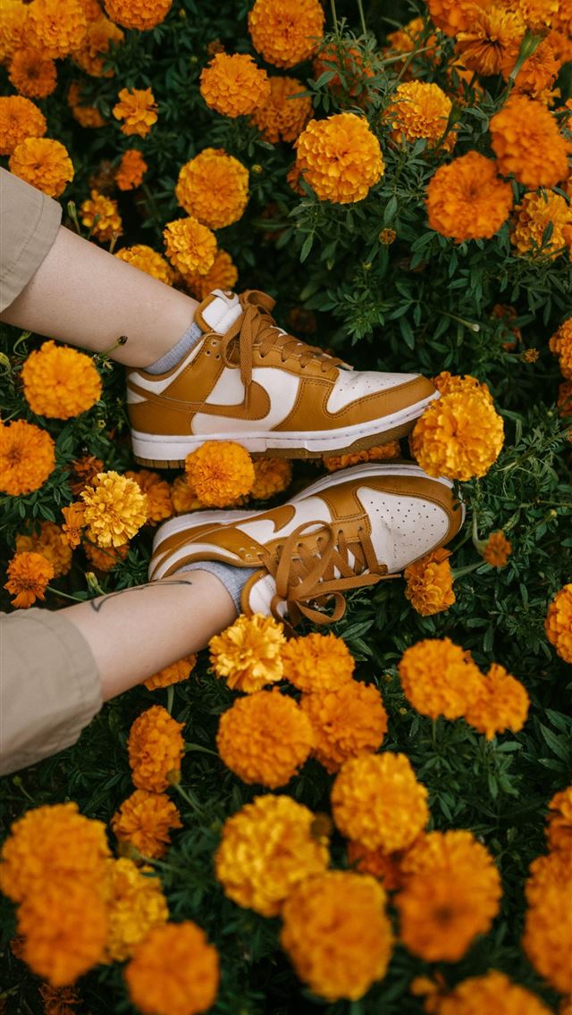 1290x2796 a person standing in a field of flowers -  iPhone Wallpaper