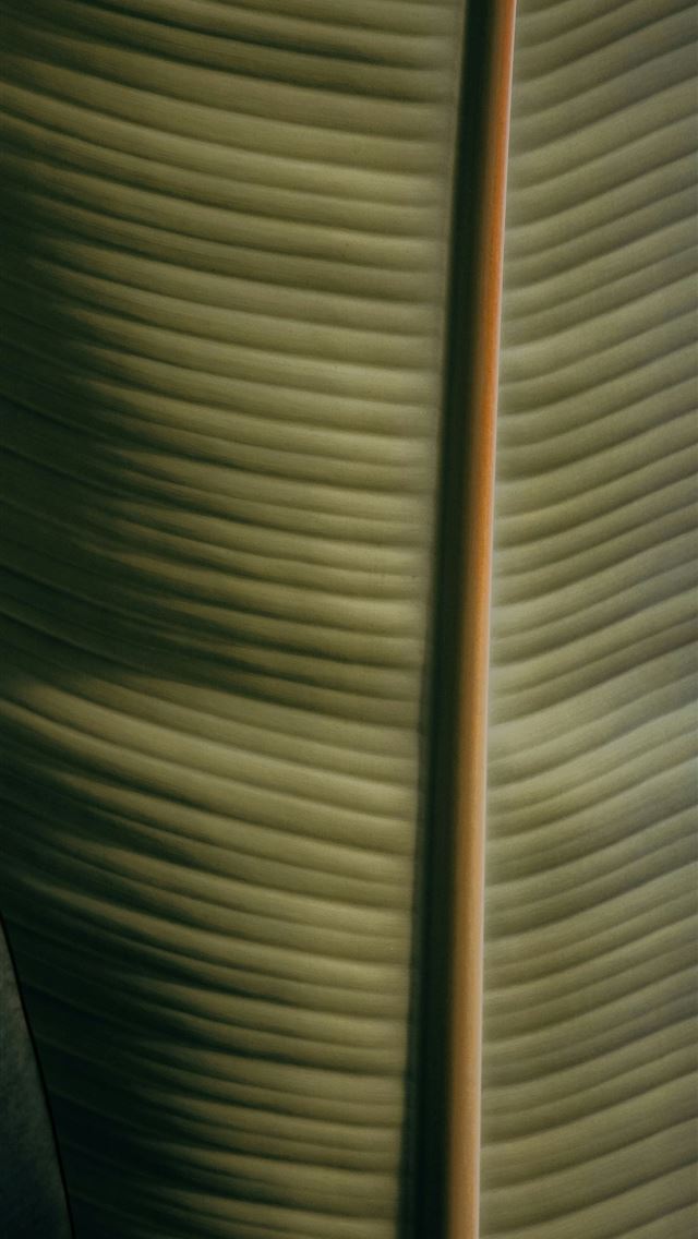 1290x2796 a close up of a window -  iphone 13 Wallpaper