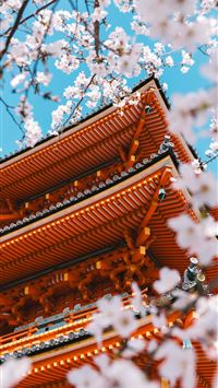 Orange pagoda surrounded by blooming cherry blosso... wallpaper