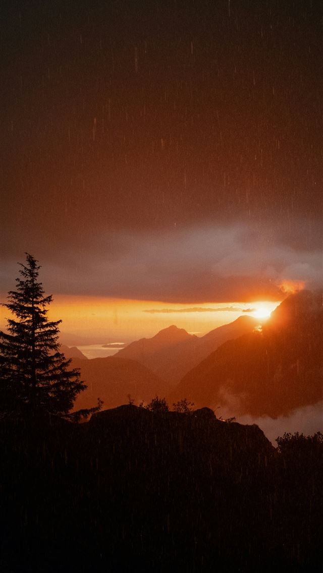 1290x2796 Sunset over misty mountains with a lone tree  - rain iPhone Wallpaper
