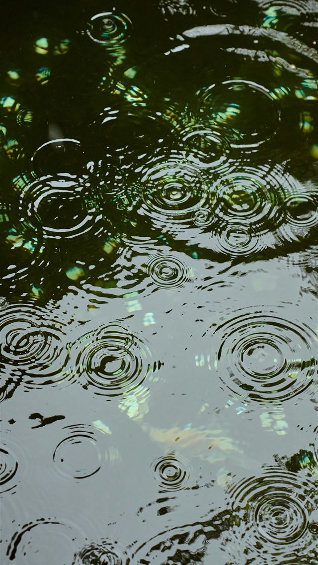 1290x2796 Raindrops creating ripples on a dark reflective su... - pattern iPhone Wallpaper