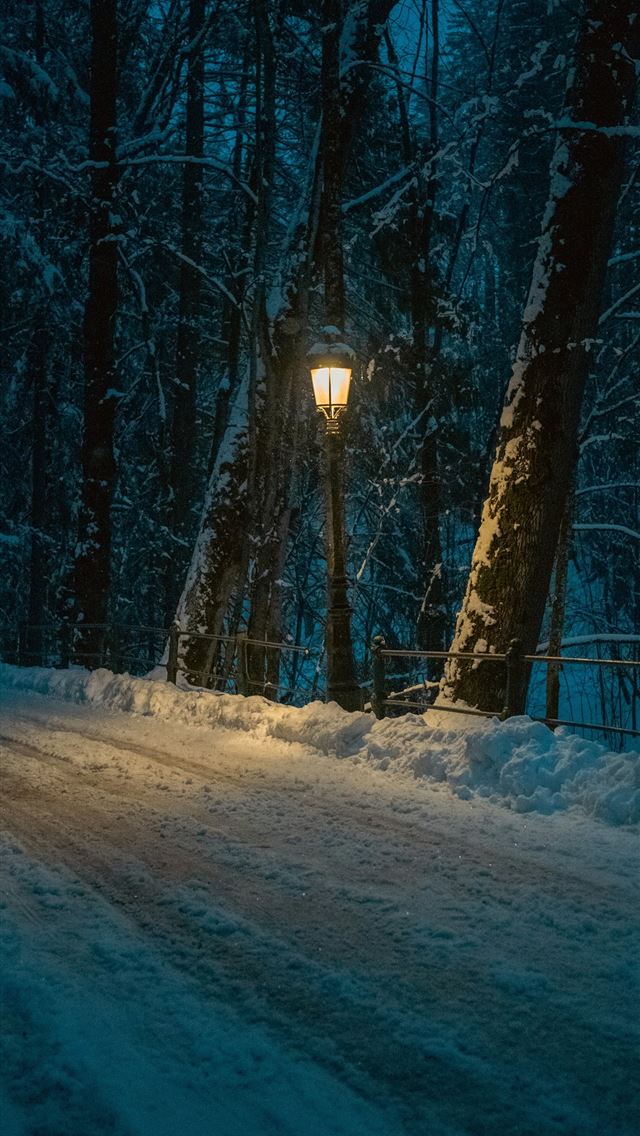 1290x2796 A lamp lights a snowy path through a dark forest  - winter scene iPhone Wallpaper