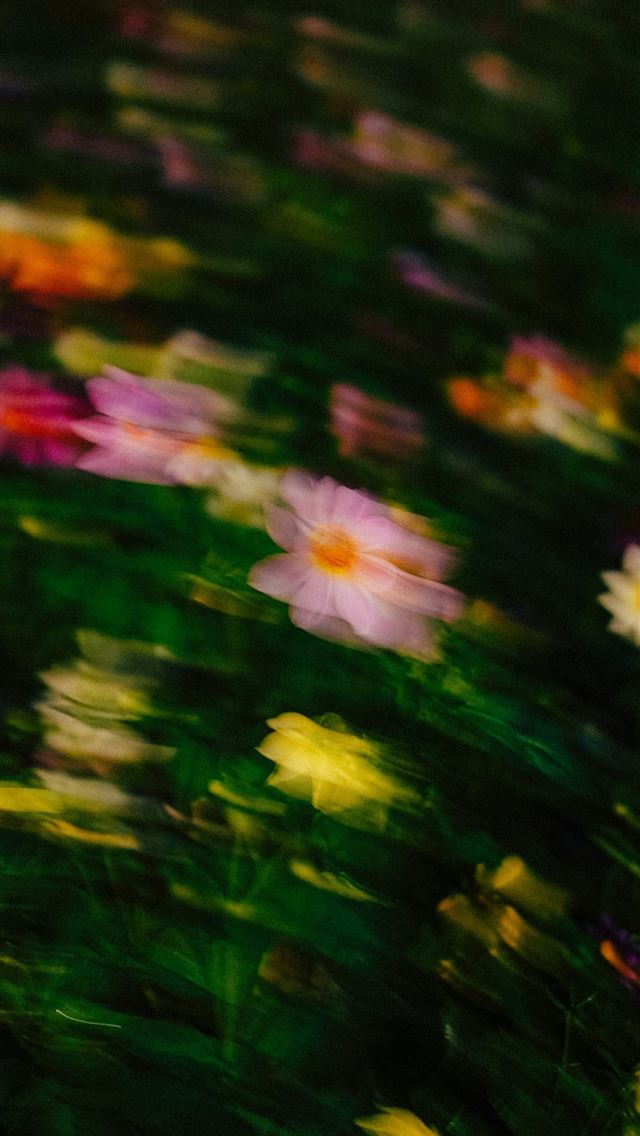 1290x2796 Abstract blurred field of colorful flowers at dusk -  iPhone Wallpaper
