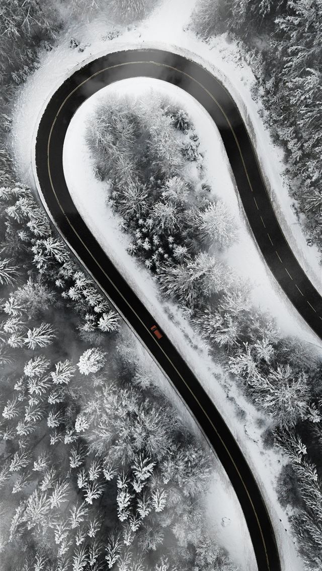 1290x2796 A winding road through a snow covered forest - car iPhone Wallpaper