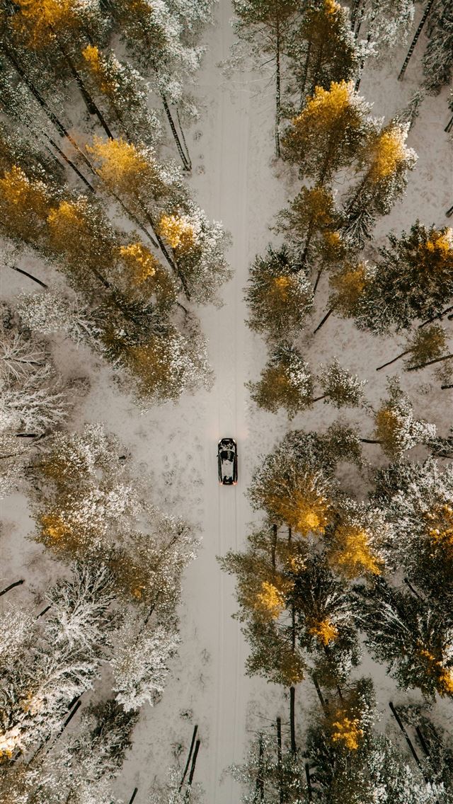 1290x2796 Car driving on a snowy forest road from above  - winter iPhone Wallpaper