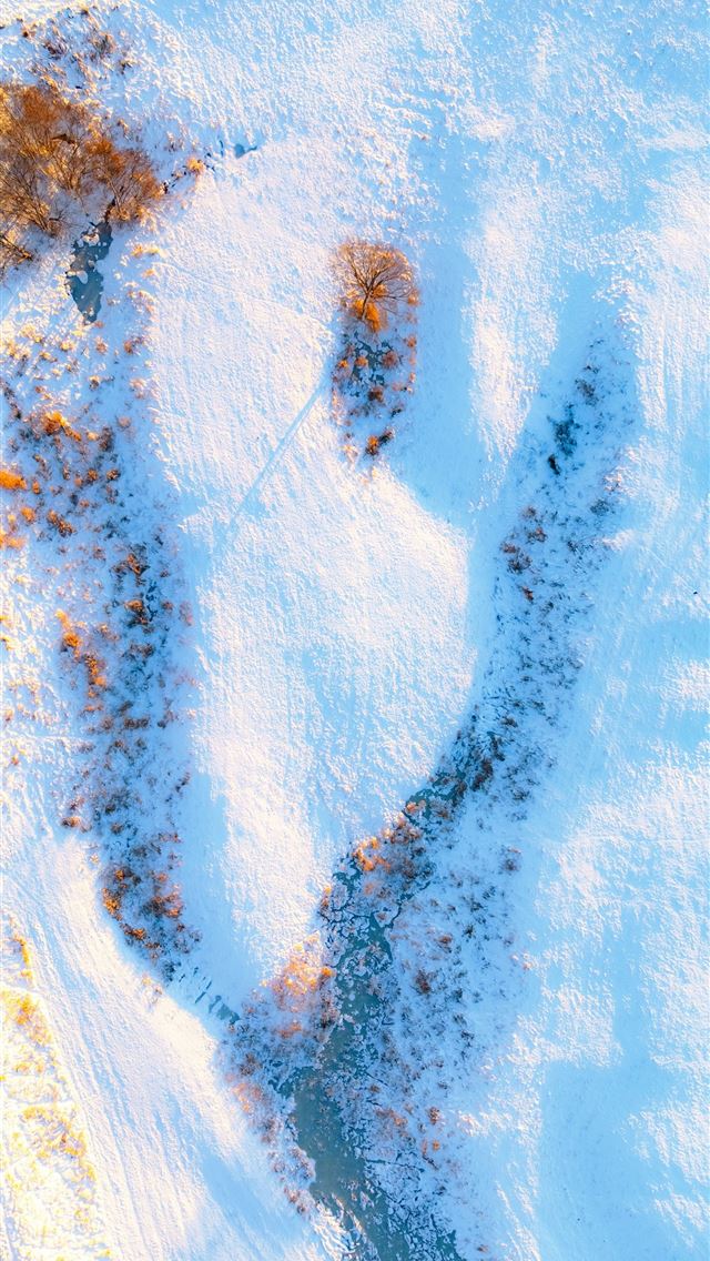 1290x2796 Aerial view of a snow covered landscape with dry g... - winter iPhone Wallpaper