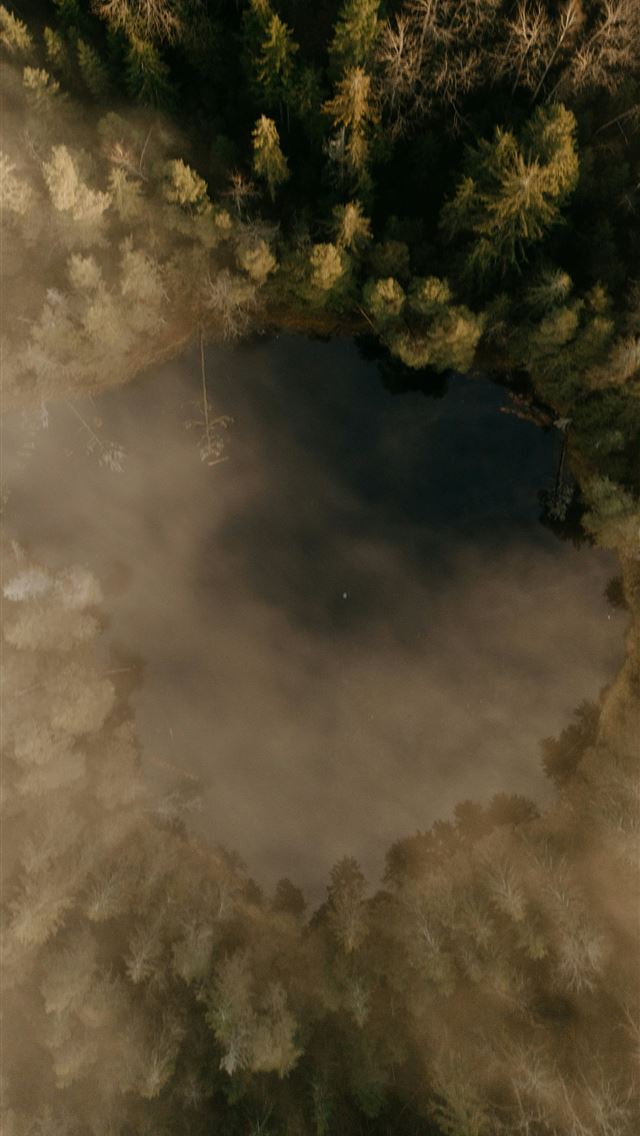 1290x2796 Aerial view of a dark lake surrounded by foggy for... - winter iPhone Wallpaper
