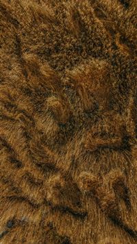 Close up view of brown animal fur texture  wallpaper