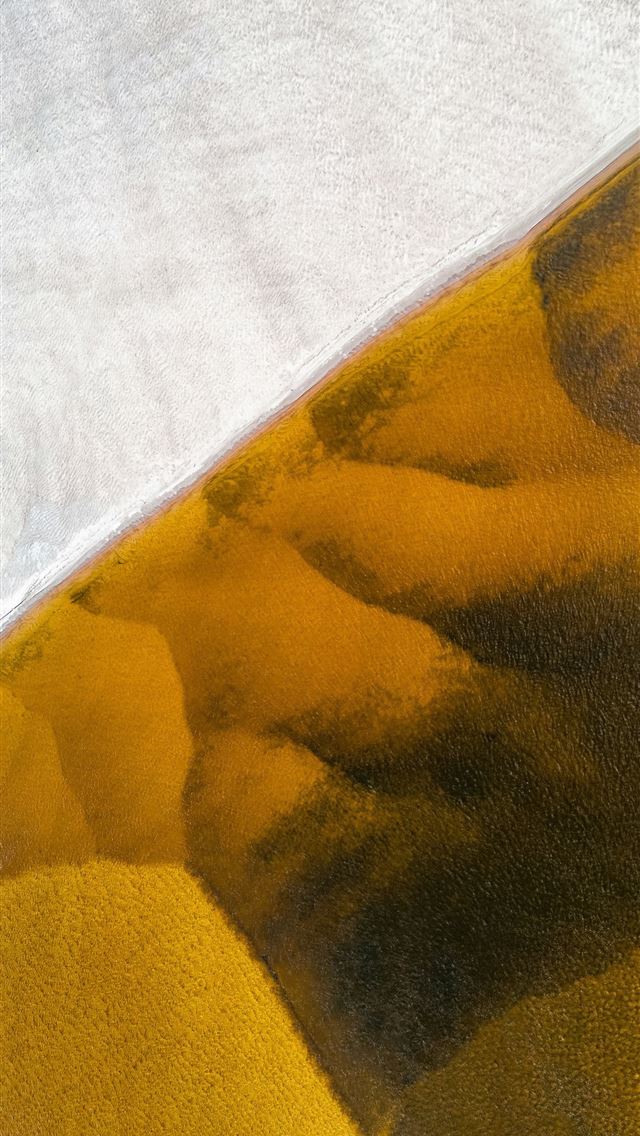 1290x2796 yellow and white floral textile -  iPhone Wallpaper