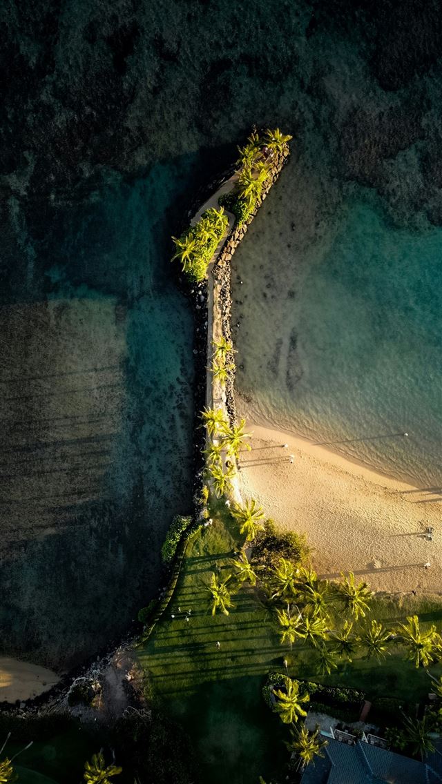 1290x2796 Tropical pier with palm trees extending into clear... -  iPhone Wallpaper