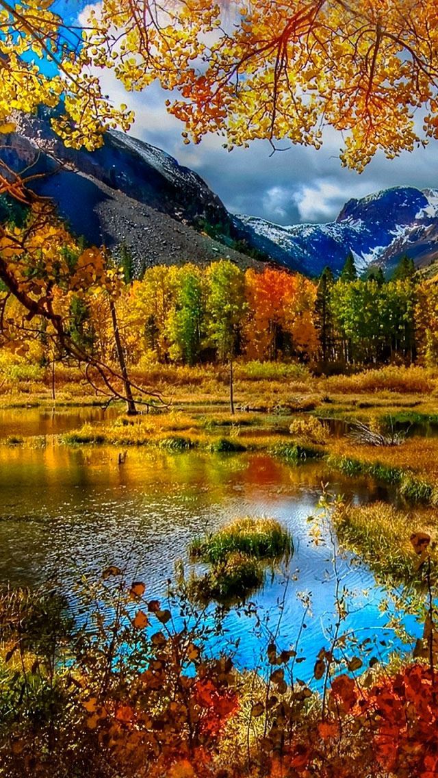 Best Autumn iPhone HD Wallpapers - iLikeWallpaper