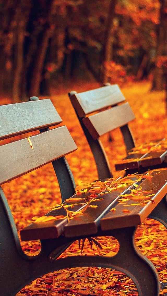 18 Wallpapers In bench Wallpapers For iPhone