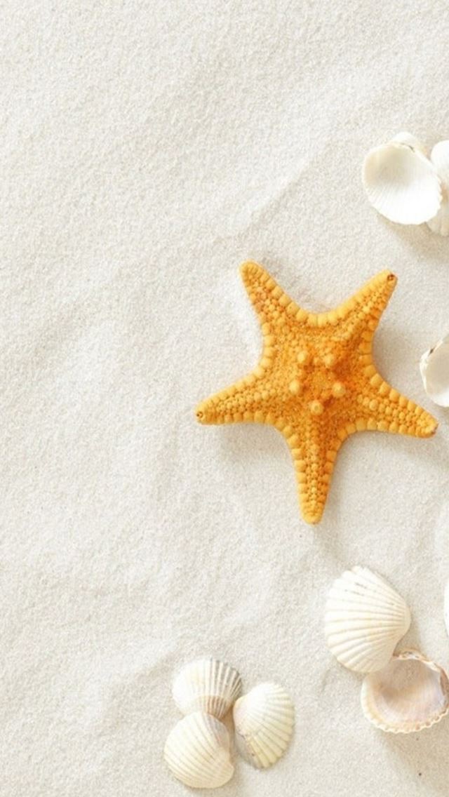 16 Wallpapers In Starfish Wallpapers For iPhone
