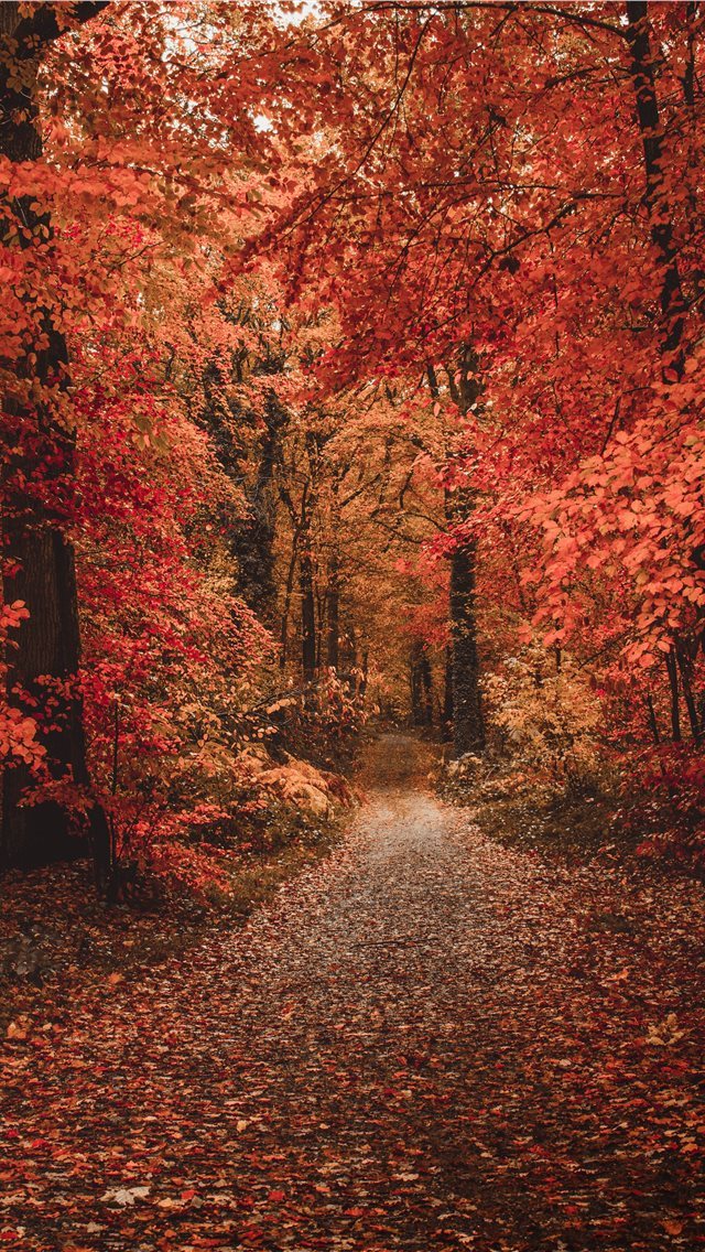 50 Wallpapers In warm Wallpapers For iPhone