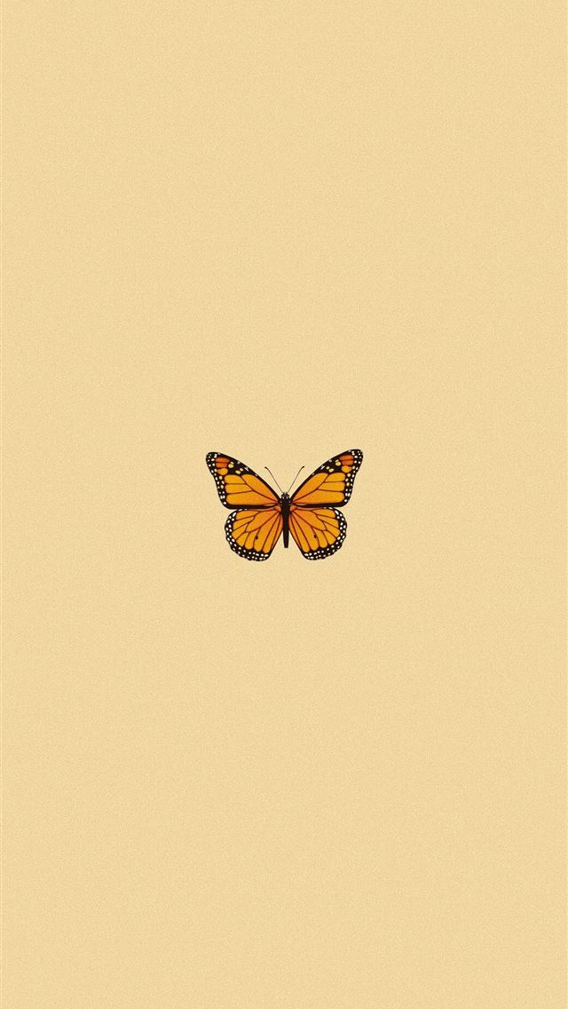 88 Wallpapers In butterfly Wallpapers For iPhone