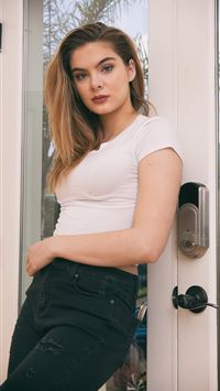 brighton sharbino wallpaper