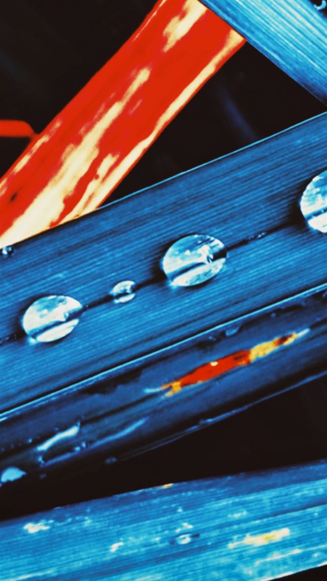 640x1136 water drops leaves - drops iPhone Wallpaper