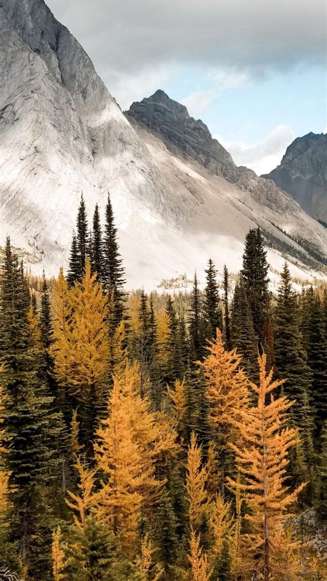 640x1136 autumn in the rockies - autumn iPhone Wallpaper
