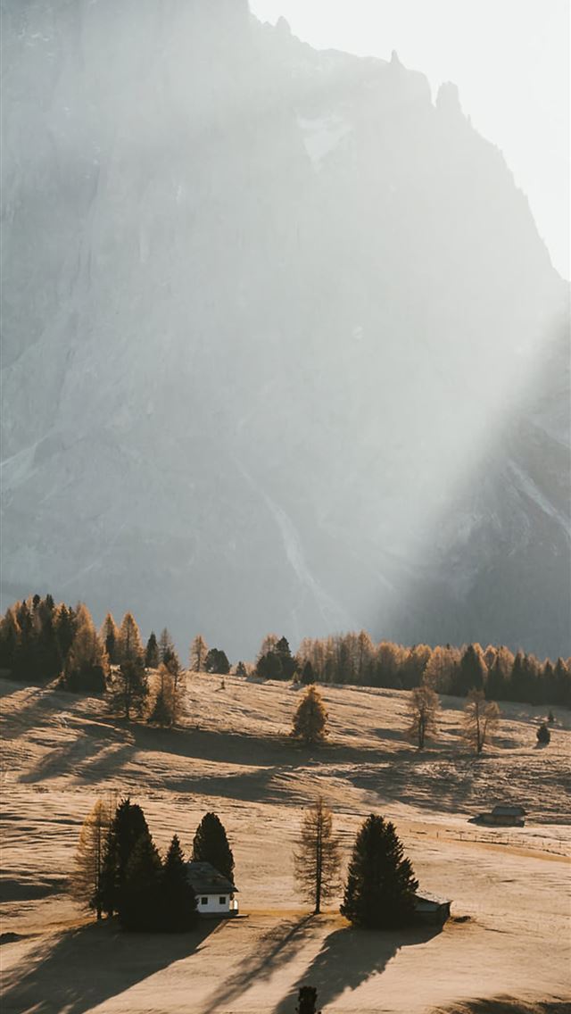 640x1136 landscape trees nature sunlight - sunlight iPhone Wallpaper