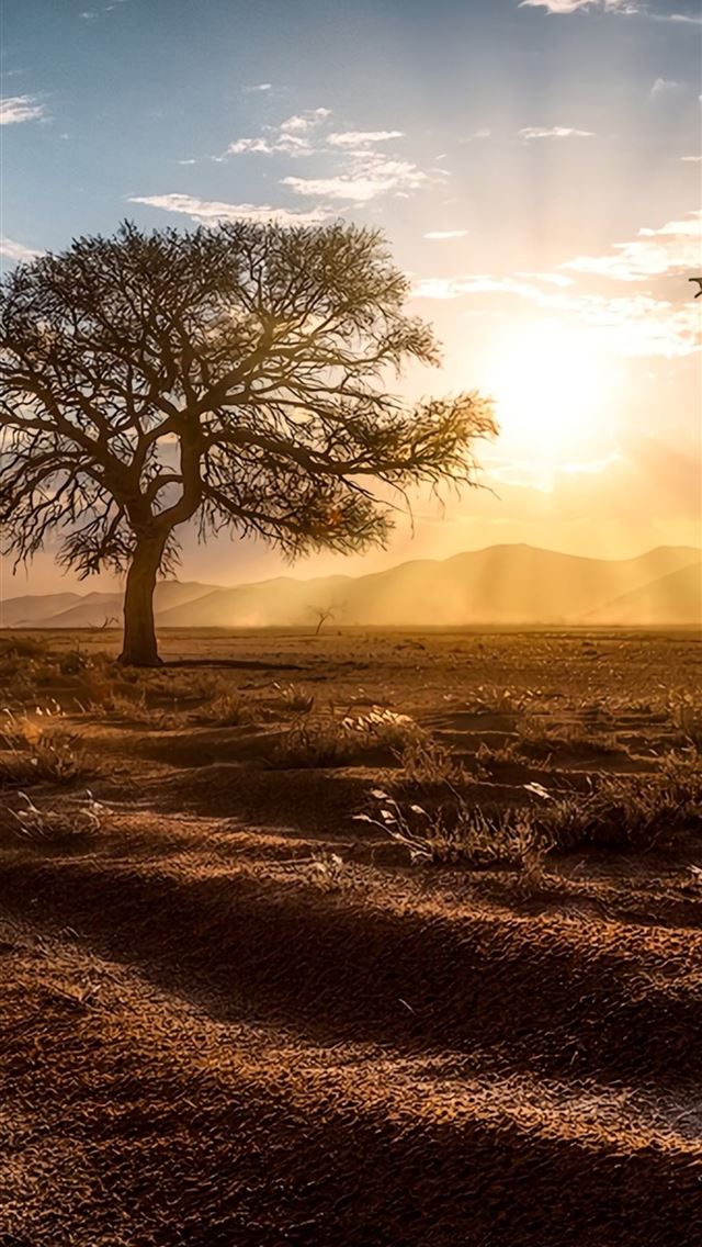 640x1136 sun beams landscape - landscape iPhone Wallpaper