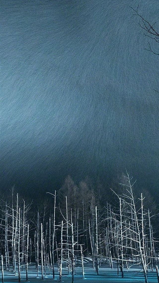 640x1136 winter night snow trees - winter iPhone Wallpaper