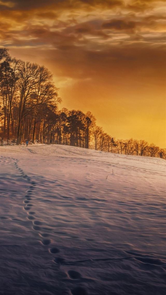 640x1136 evening snow landscape trees - trees iPhone Wallpaper