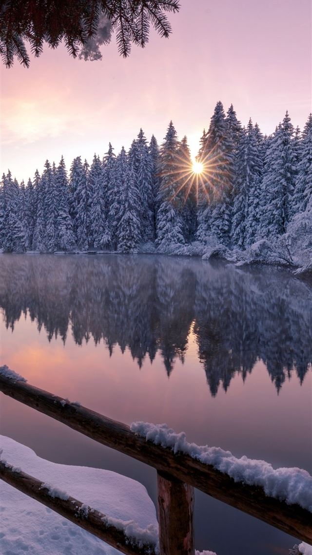 640x1136 winter snow trees nature outdoors - trees iPhone Wallpaper